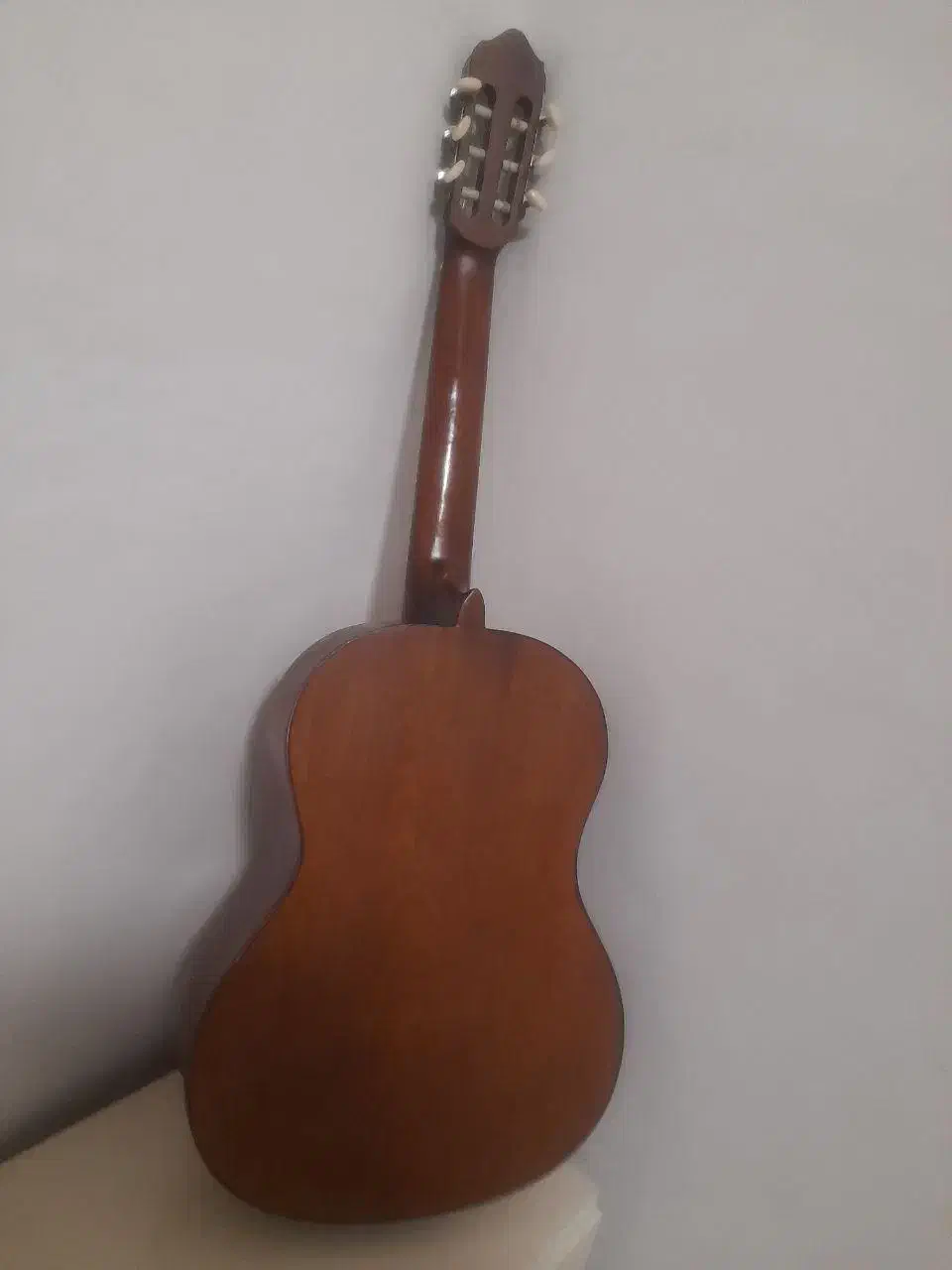 گیتار رویال|گیتار، بیس، امپلیفایر|چوبر, |دیوار