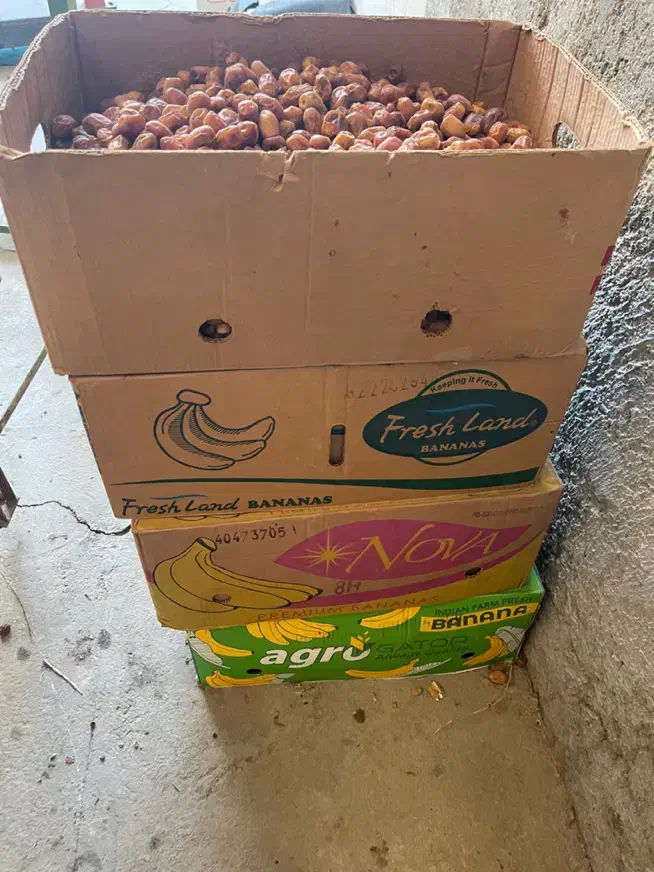 قصب|عمده‌فروشی|وحدتیه, |دیوار