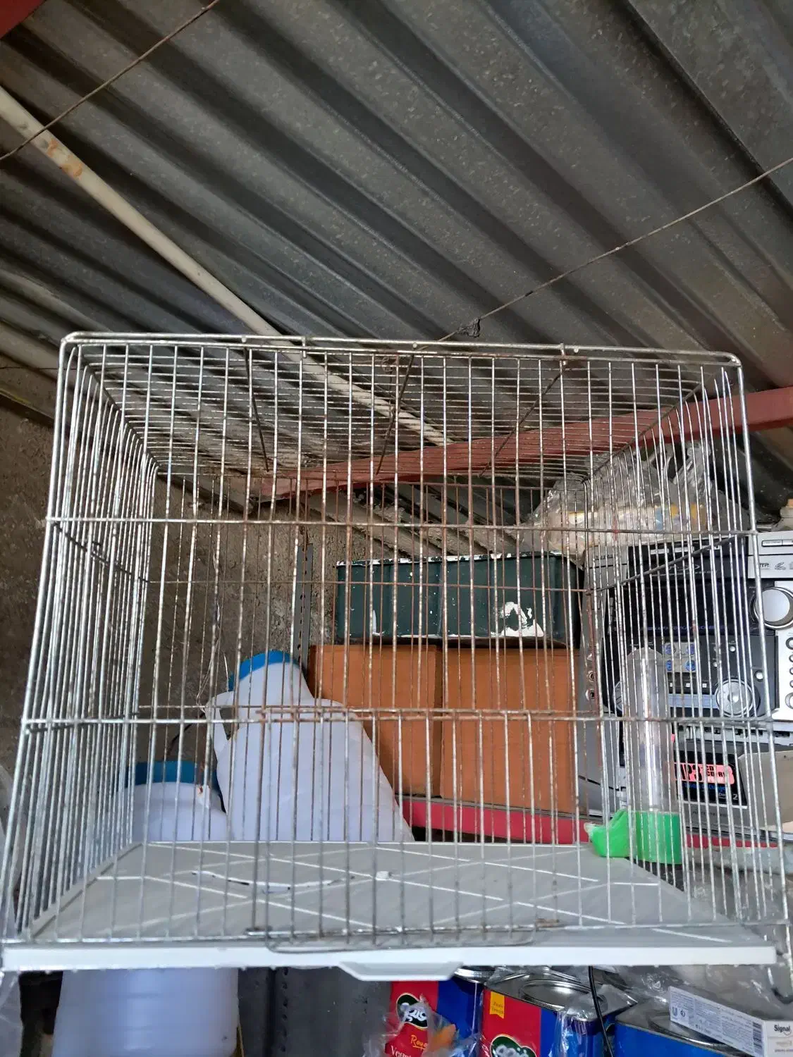 قفس|لوازم جانبی حیوانات|ابهر, |دیوار