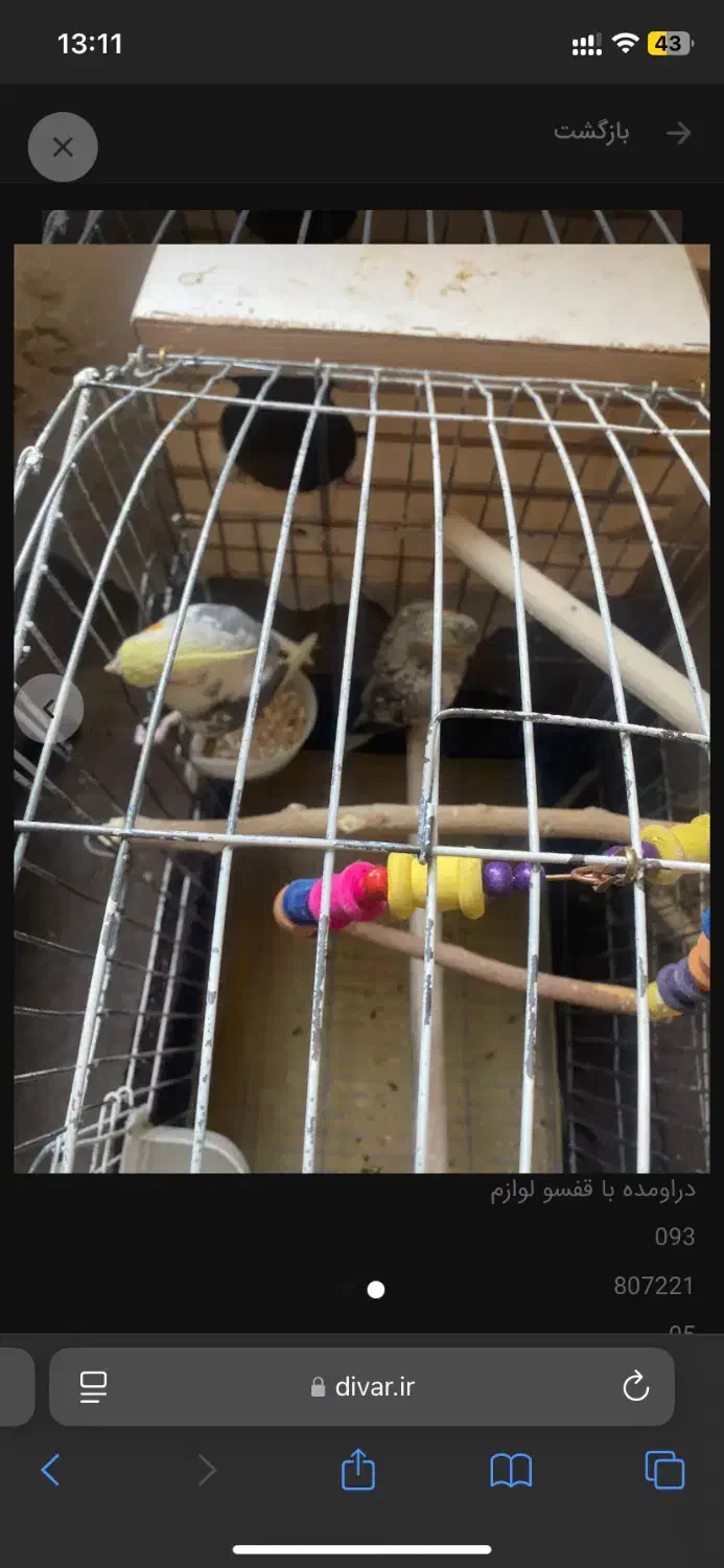 عروس|اسباب‌بازی بچه|هشتگرد, فاز ۷ مهستان|دیوار