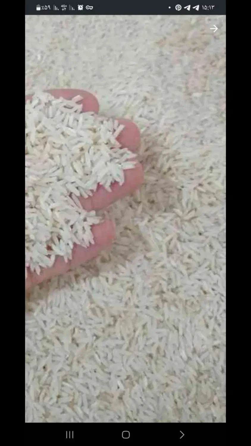 برنج طارم کشت دوم|خوردنی و آشامیدنی|بابل, |دیوار