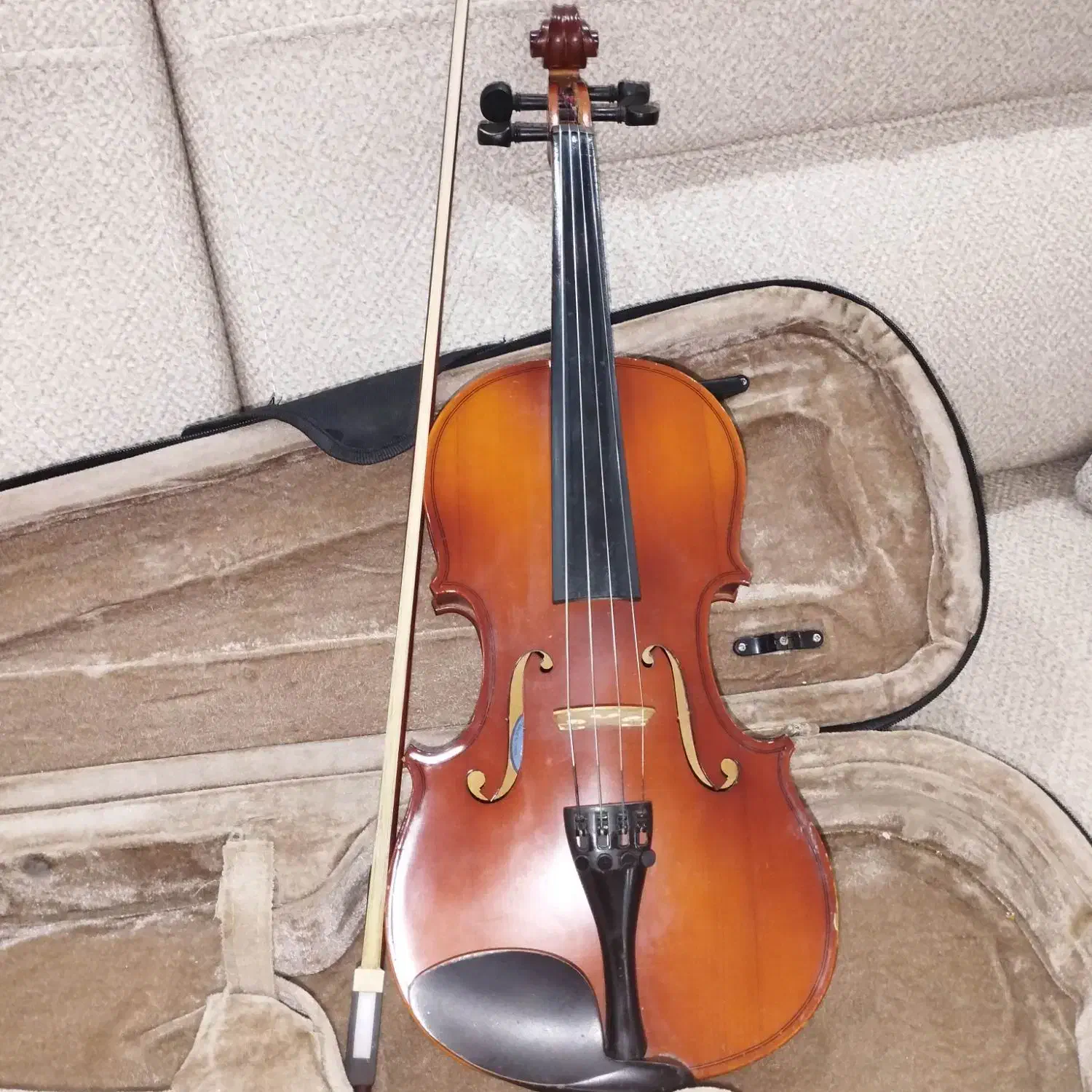 ویولن tf|ویولن|گرگان, |دیوار