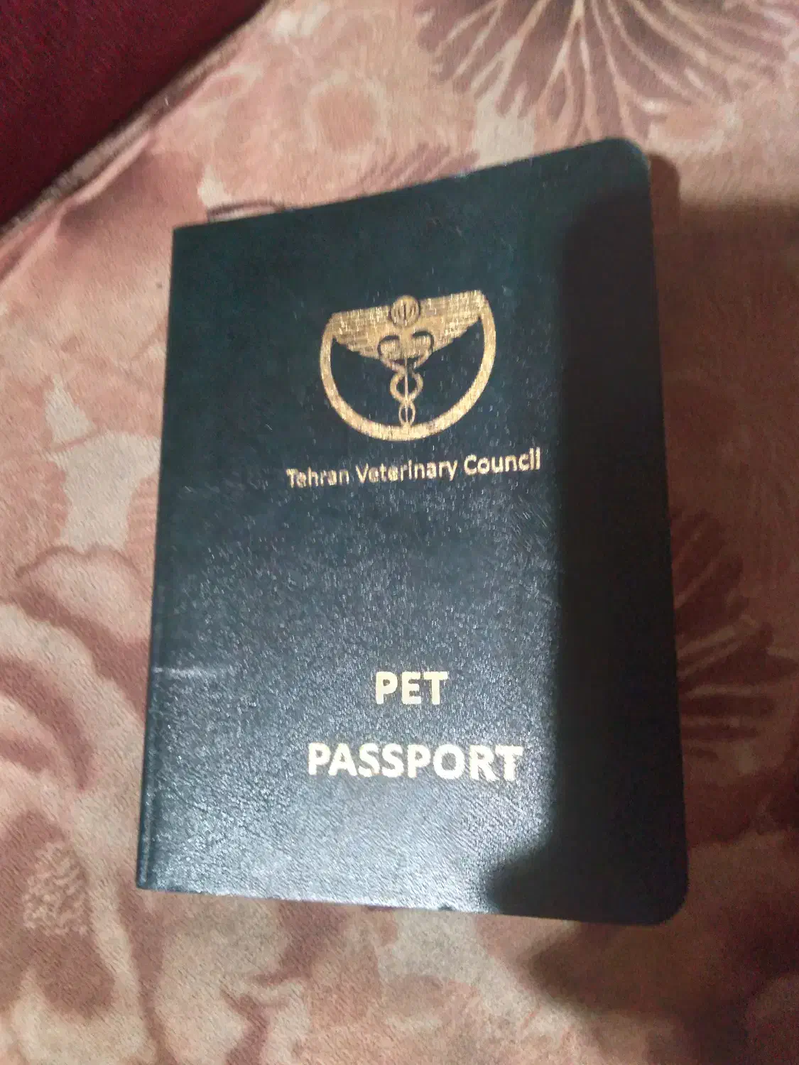 واگذاری سگ نگهبان درجه یک اصل فقط به آدم موجه|سگ|تهران, تهرانپارس شرقی|دیوار