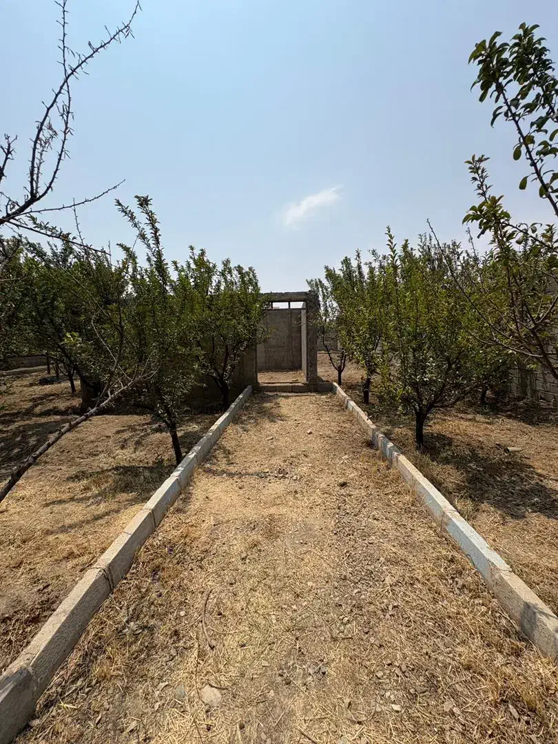 ۶۳۰ متر باغچه با سه میلیارد نقد تهاتر با آپارتمان|فروش آپارتمان|کرج, کوی مهر|دیوار