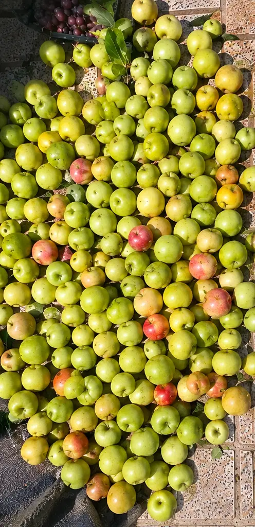 سیب|خوردنی و آشامیدنی|کیار, |دیوار