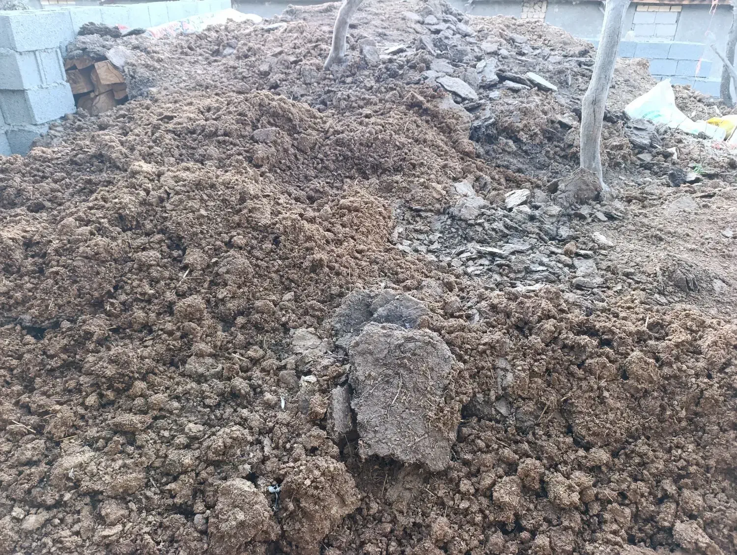 کود گاوی و گوسفندی خشک|خدمات باغبانی و درختکاری|منجیل, |دیوار