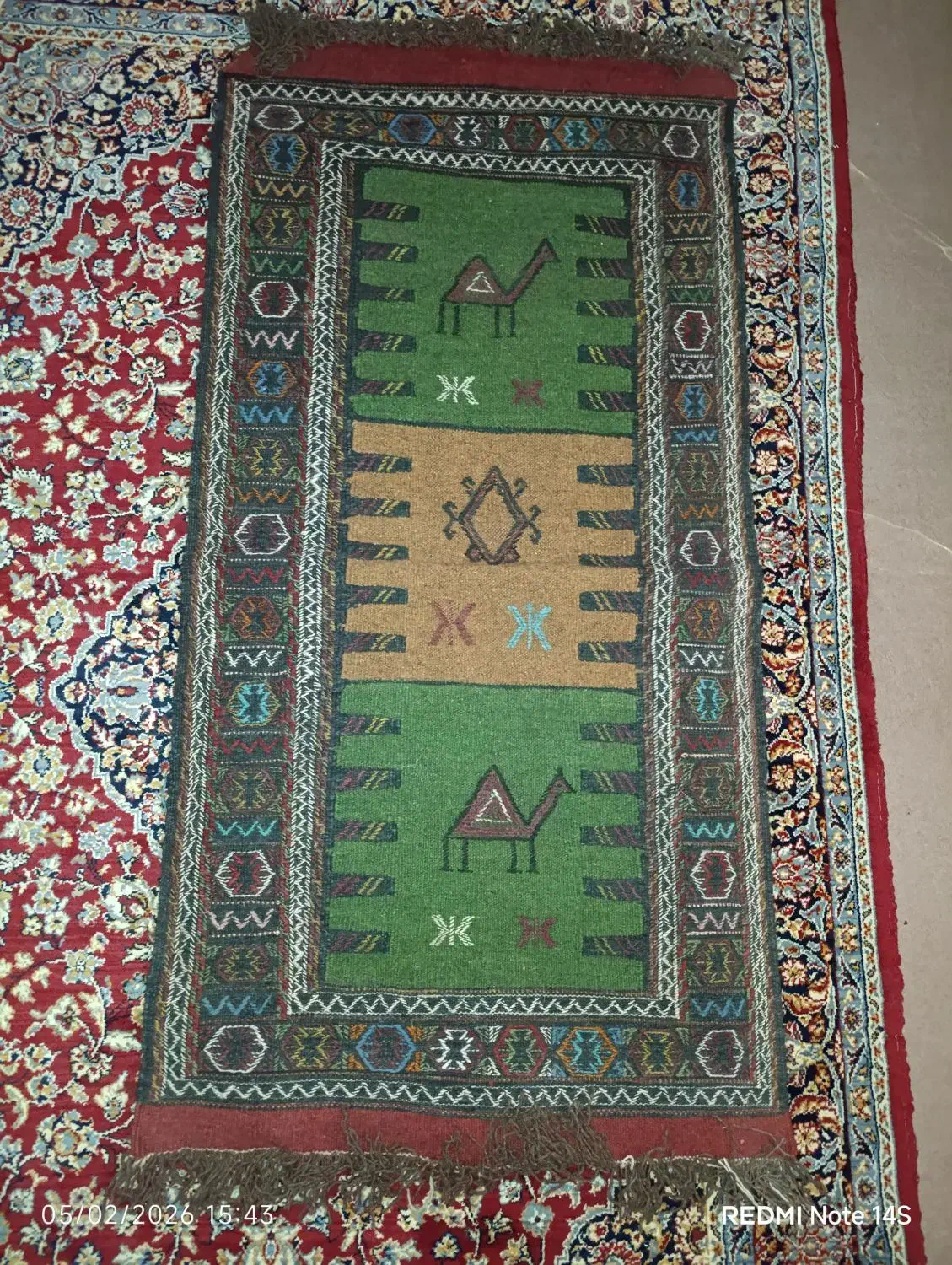 چادر مشکی و گلیم کردی|گلیم، جاجیم، گبه|بجنورد, |دیوار