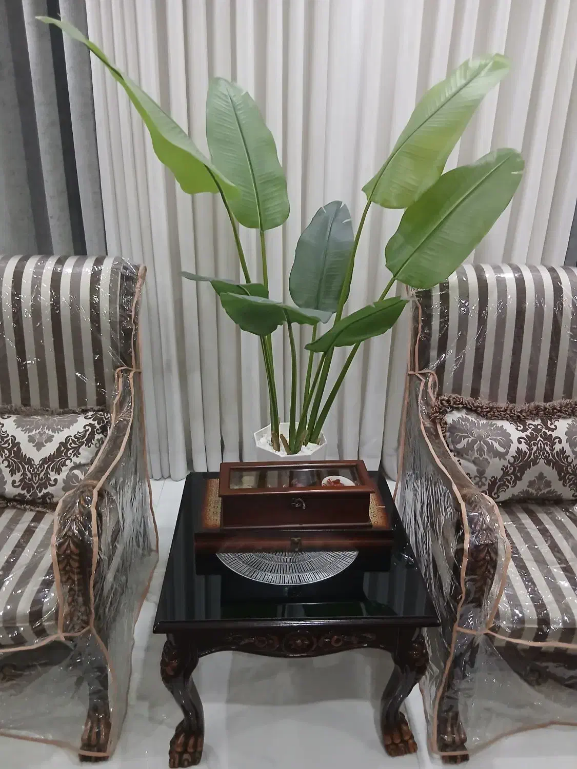 درختچه|گل مصنوعی|اهواز, نبوت|دیوار