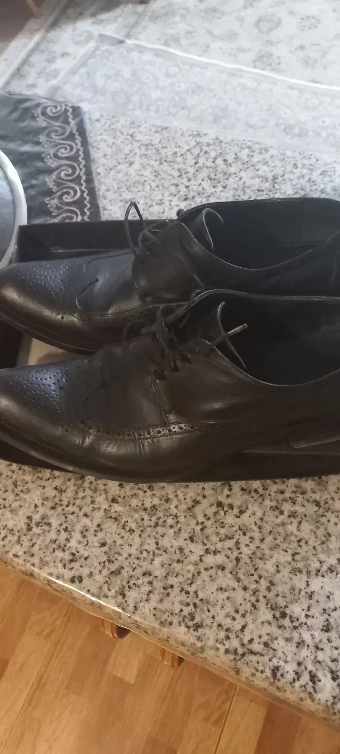 کفش مردانه|کیف، کفش، کمربند|شیراز, شهرک سراج‎|دیوار