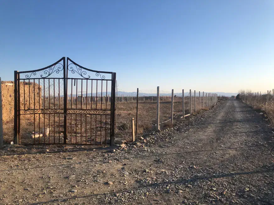 زمین ۲ بر زراعی کشاورزی گلخانه ای|فروش زمین و ملک کلنگی|نظرآباد, صالح آباد|دیوار