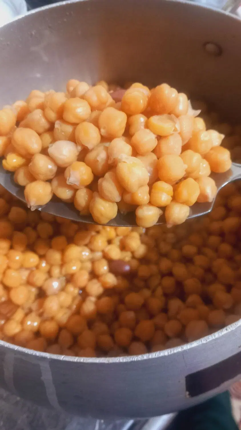 نخود|خوردنی و آشامیدنی|شوشتر, |دیوار