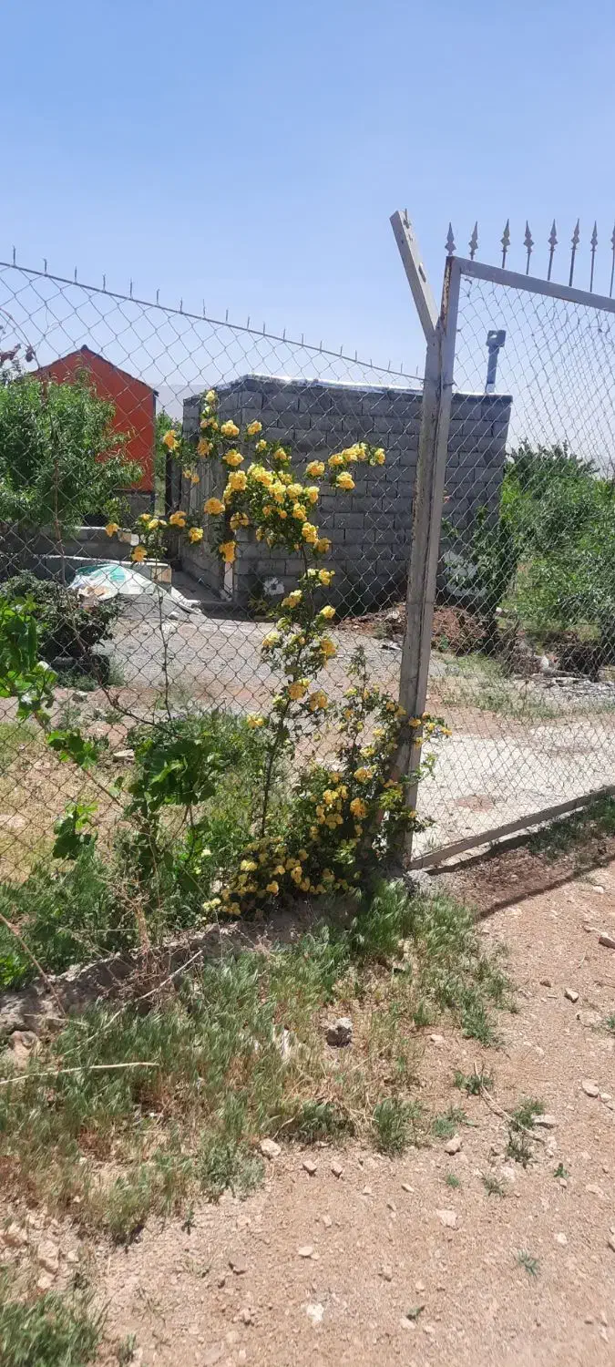 باغ لب جاده اسفالت دوبر فروشی یا معاوضه باماشین|فروش زمین و ملک کلنگی|زاینده رود, |دیوار