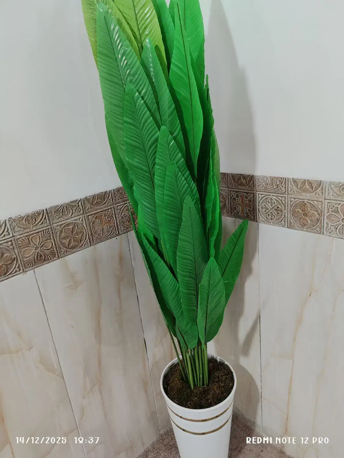 دوعدد گیاه مصنوعی شیک|گل مصنوعی|خرمشهر, |دیوار