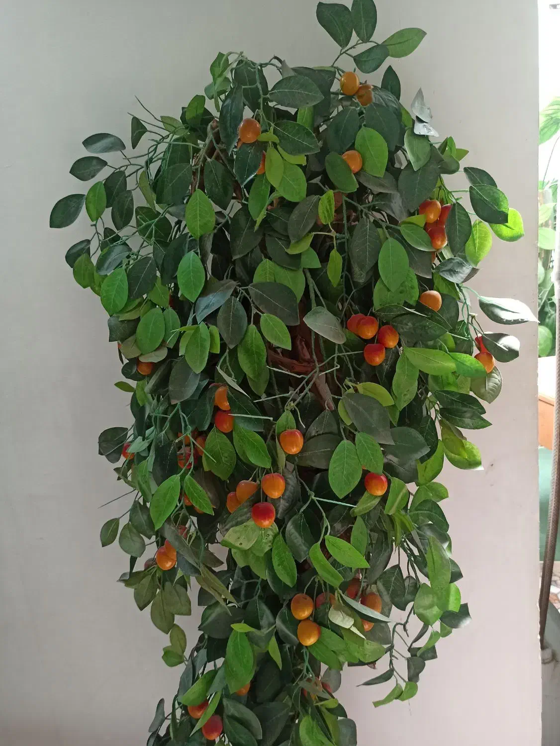 درختچه ۸۵۰ تومن|گل مصنوعی|دزفول, |دیوار