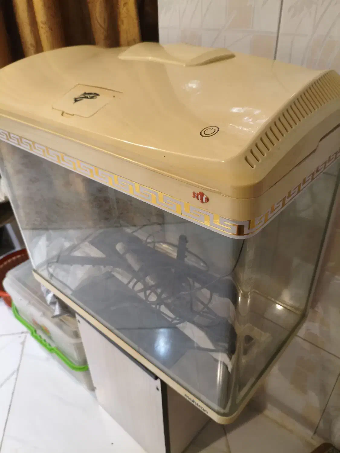 آکواریوم شرکتی ماهیران اصلی|ماهی|تهران, جنت‌آباد جنوبی|دیوار