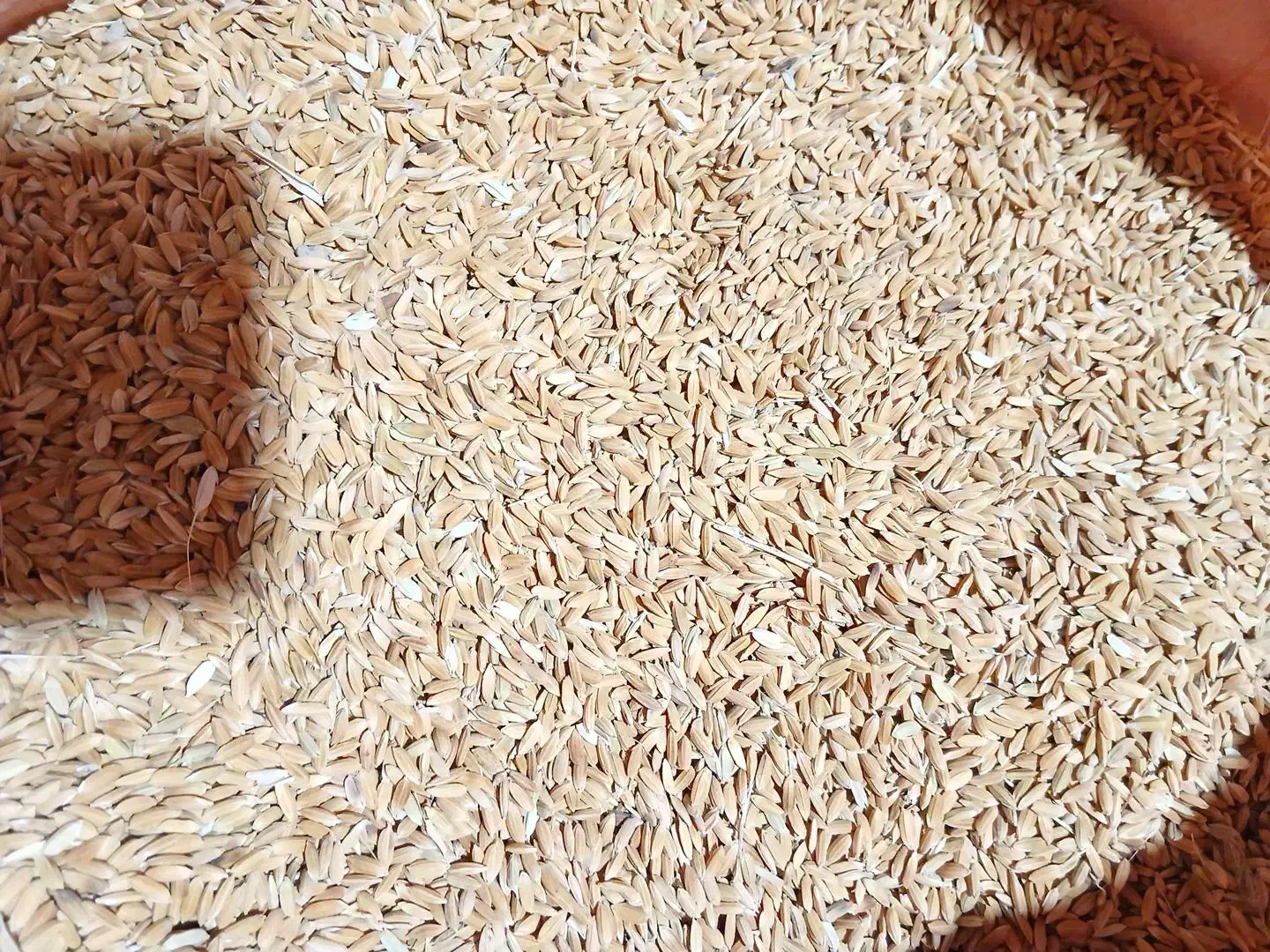 چلتوک کوهمره|عمده‌فروشی|ارژن, |دیوار