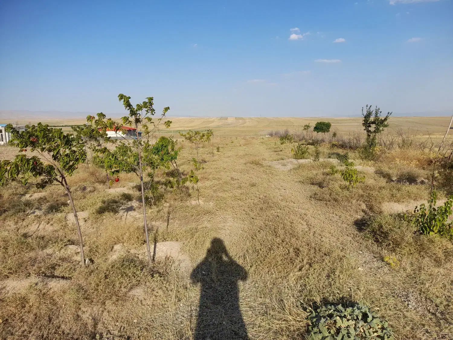 فروش زمین به متراژ ۴۰۰۰ متر مربع|فروش زمین و ملک کلنگی|ارشق, |دیوار