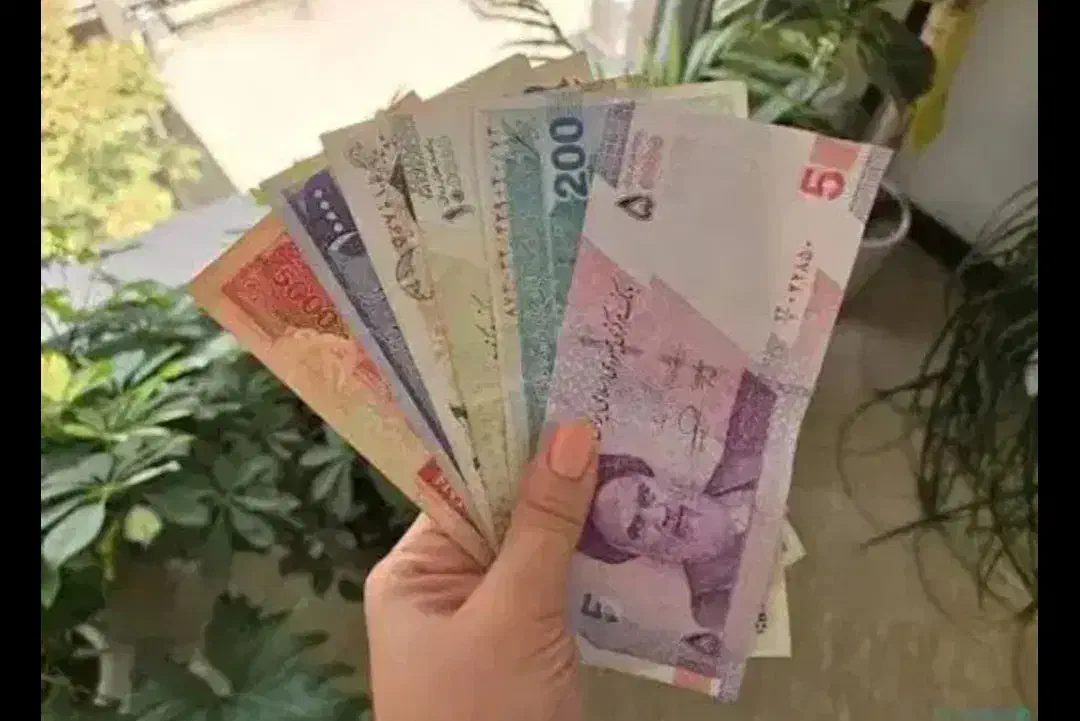 ۲۵۰ میلیون پول نیازدارم با صمانت چک صیادی|خدمات مالی، حسابداری، بیمه|شیراز, سرو|دیوار