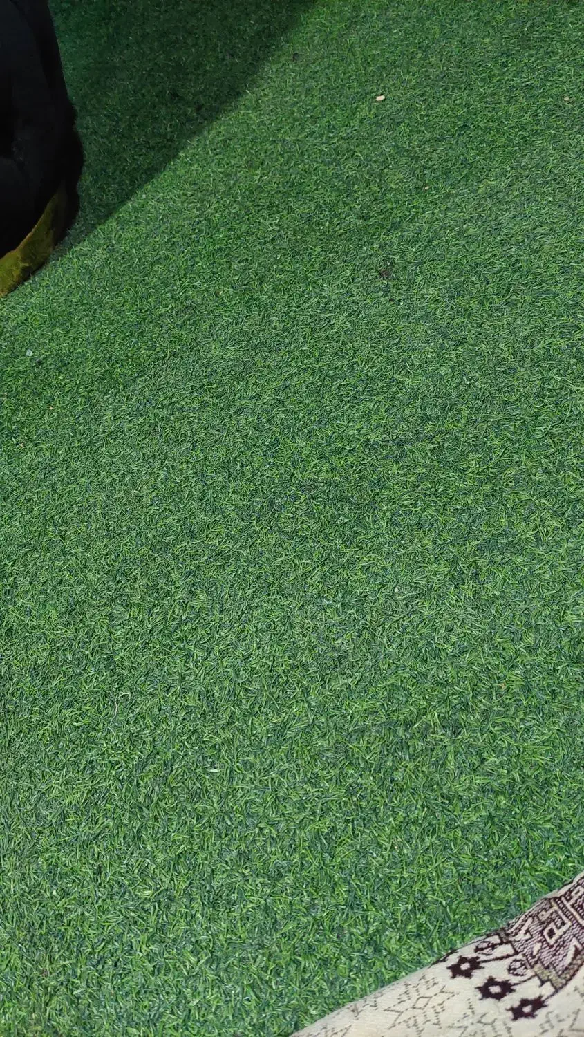 فنس دیوار|گل مصنوعی|محمدشهر, محمدشهر|دیوار