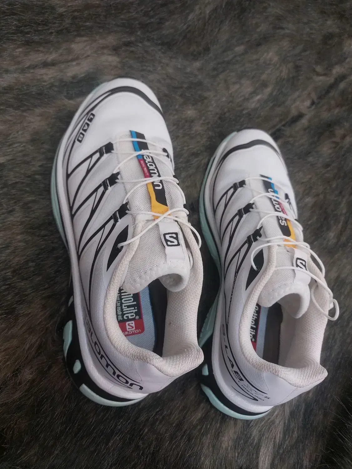 کفش|کیف، کفش، کمربند|خوی, |دیوار