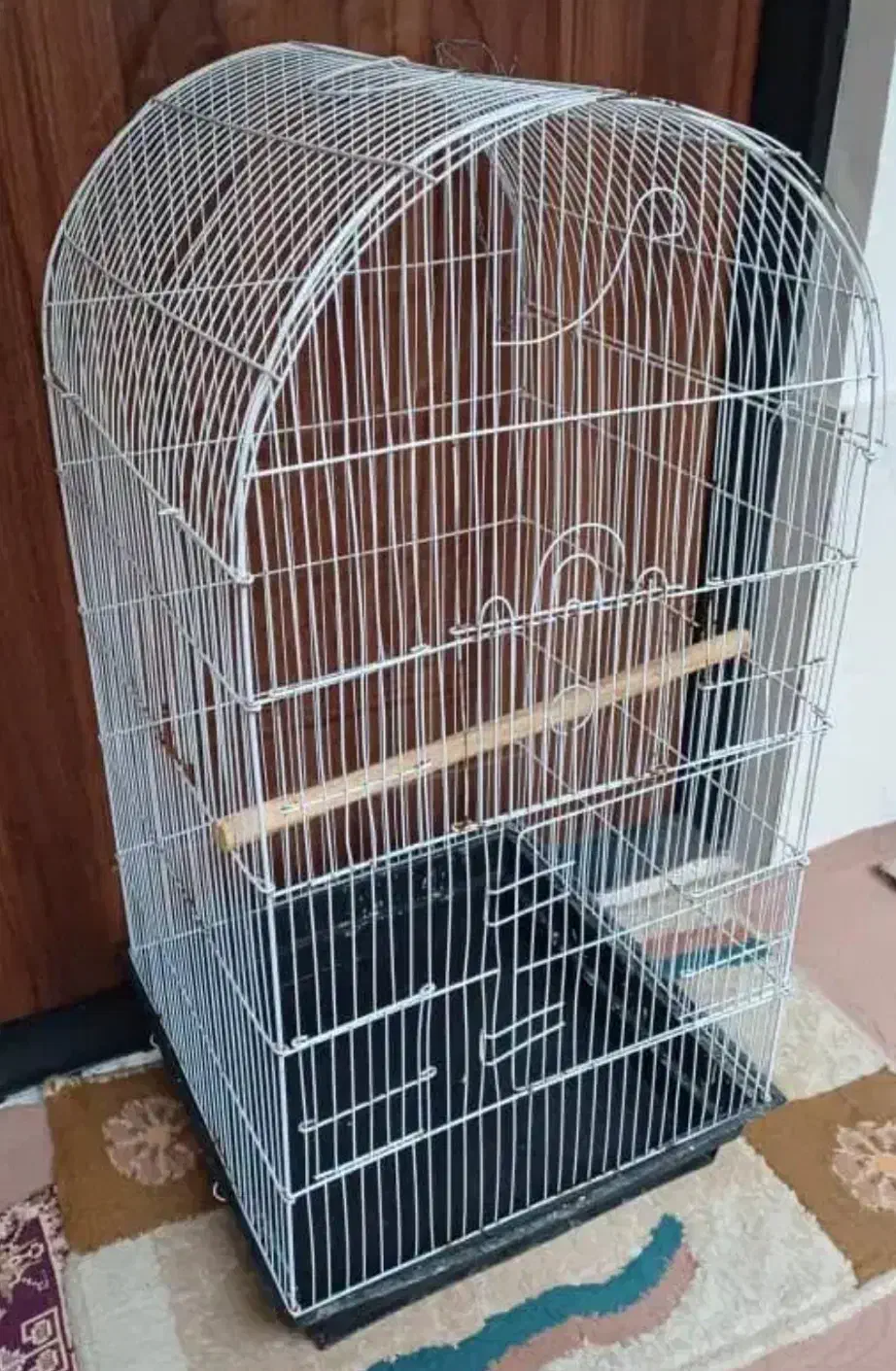 قفس پرنده|لوازم جانبی حیوانات|رشت, پیرکلاچای|دیوار