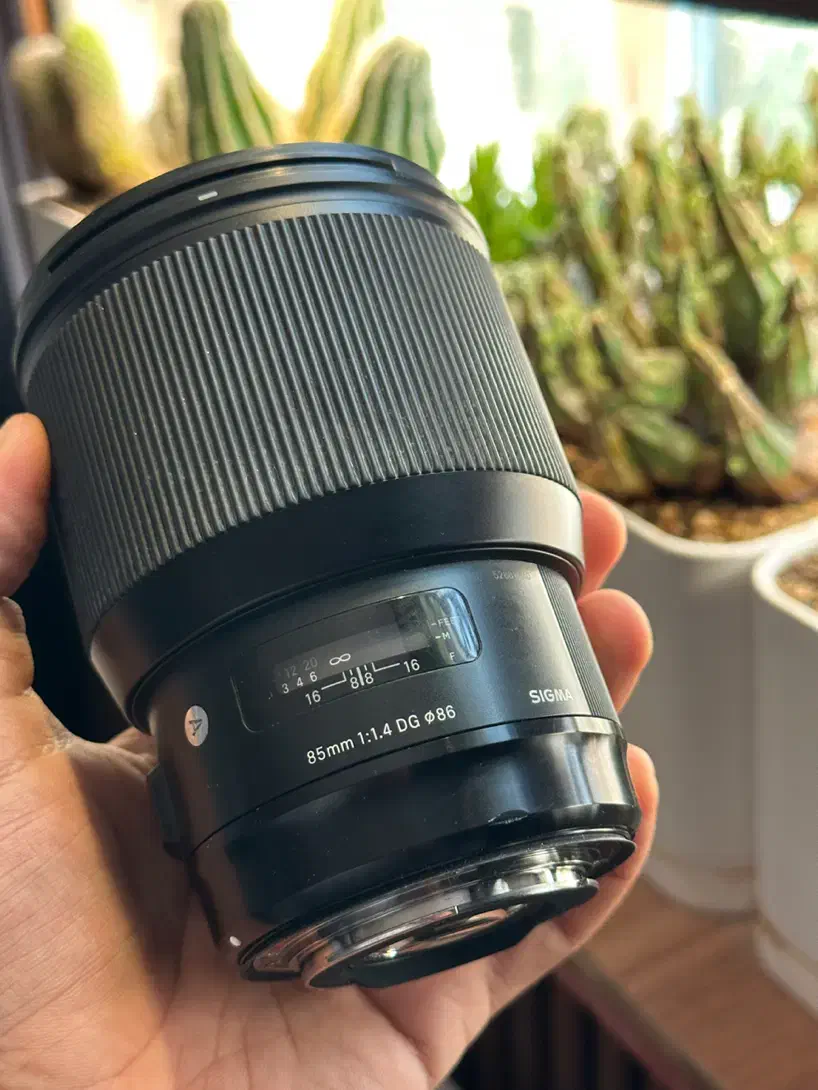 لنز ۸۵ سیگما در حد بسیار تمیز کنون|دوربین عکاسی و فیلمبرداری|شیراز, معالیآباد|دیوار
