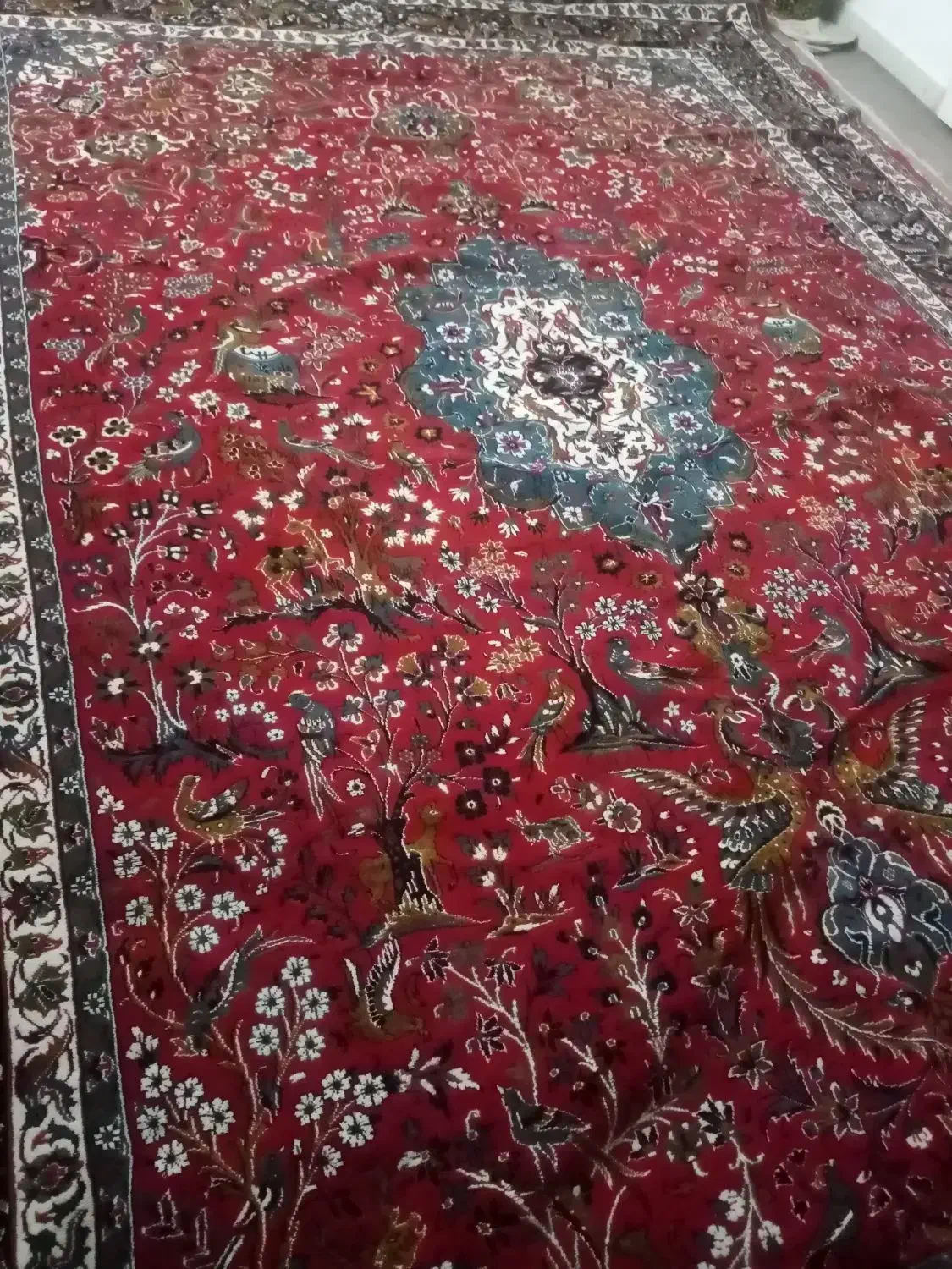 فرش 12متری قرمز رنگ سالم جنس خوب|فرش|قرچک, زیبا شهر|دیوار