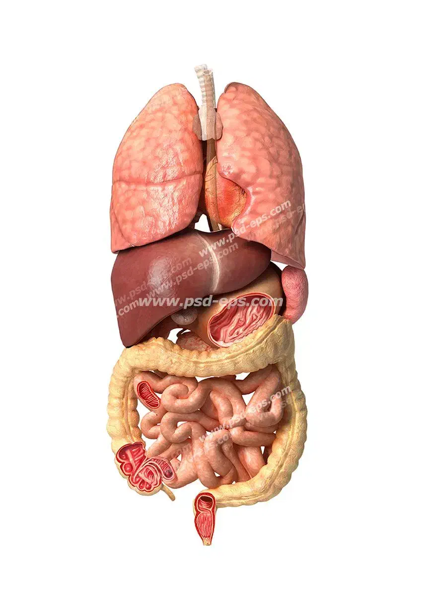 بخورو درمان شو|آرایشی، بهداشتی، درمانی|میانه, |دیوار