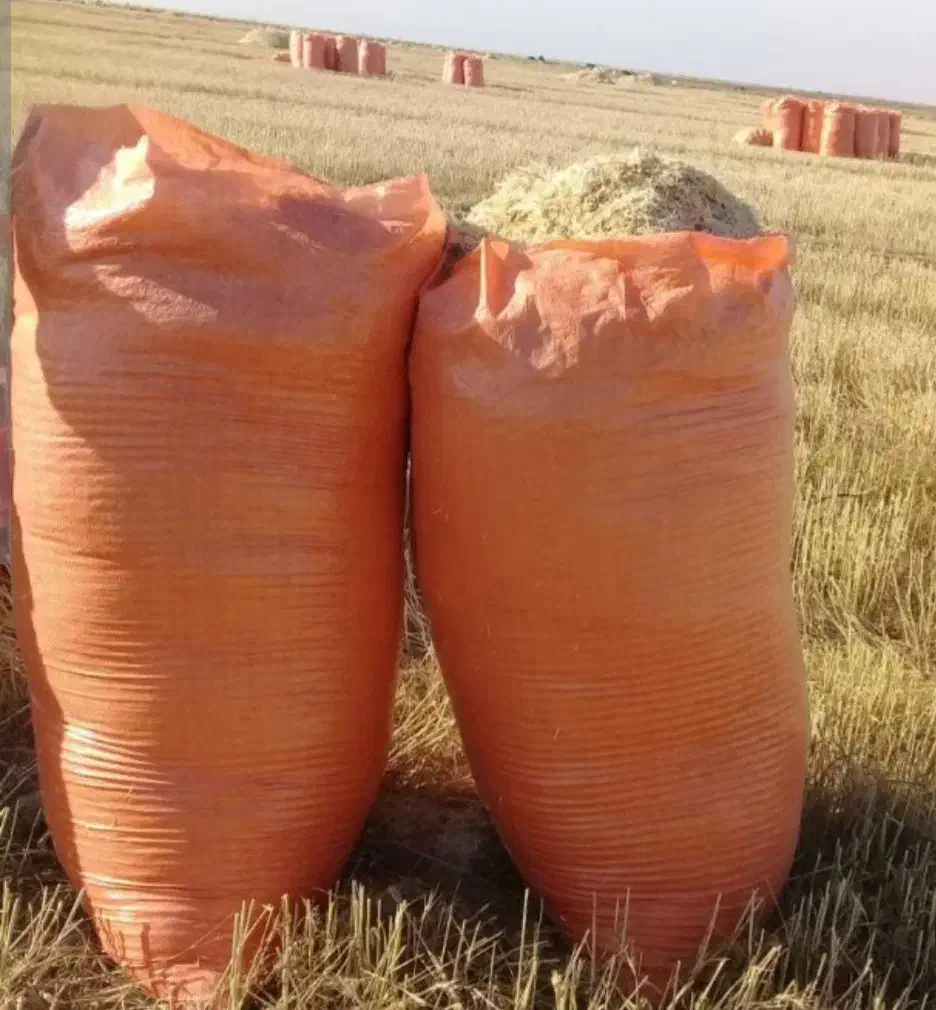 خوراک دام|حیوانات مزرعه|کوهسرخ, |دیوار