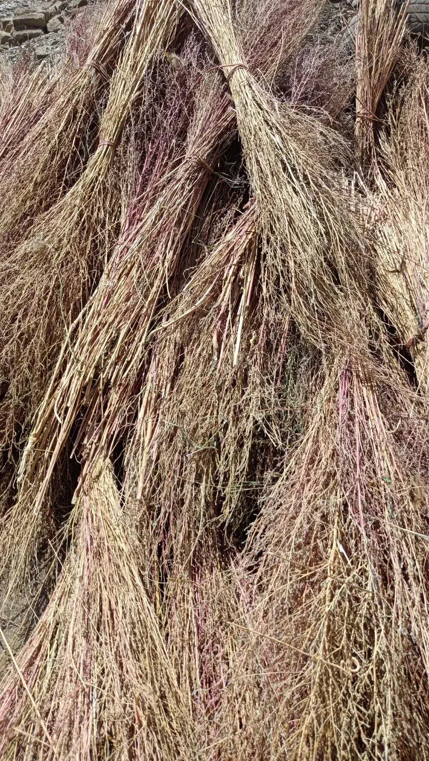 جارو محلی|لوازم نظافت|نورآباد, |دیوار