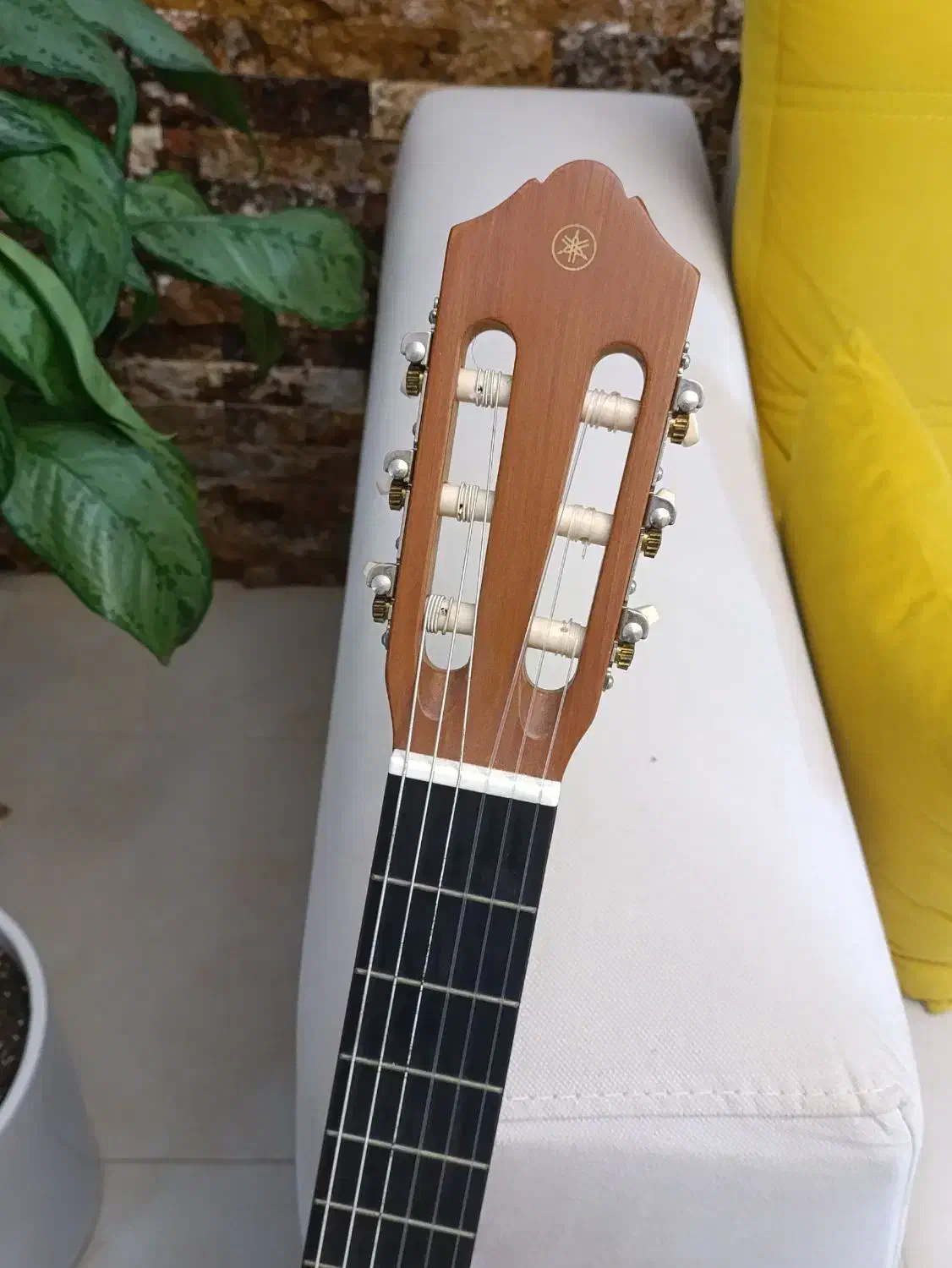 گیتار یاماها c40|گیتار، بیس، امپلیفایر|ساری, |دیوار