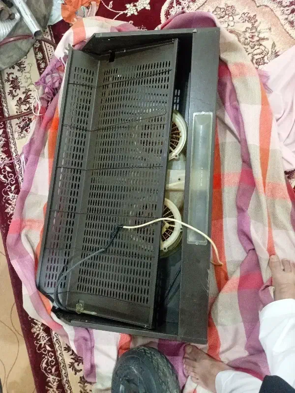 هود|هود|کارون, |دیوار