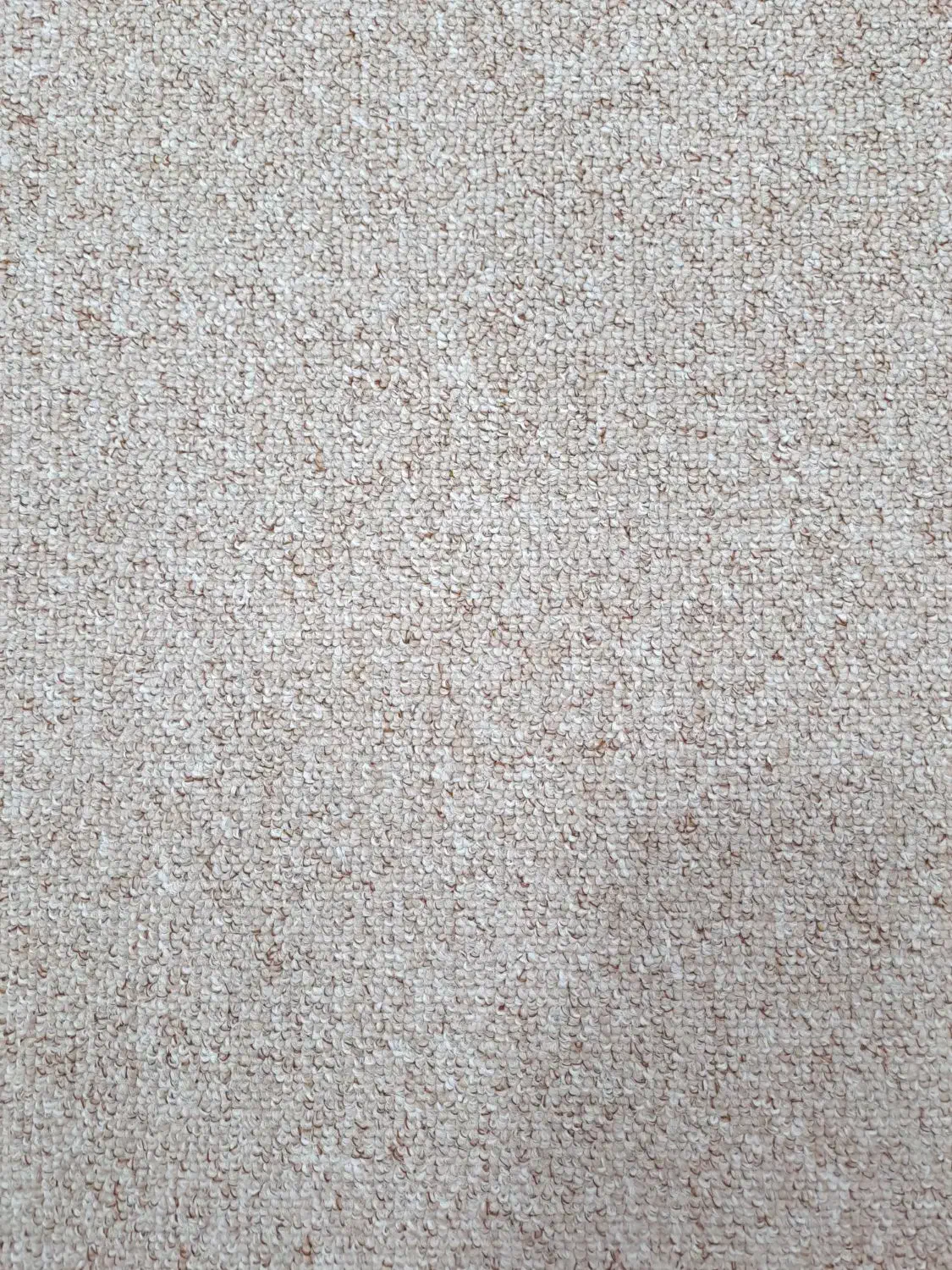 موکت درحدنو|موکت|بدره, |دیوار