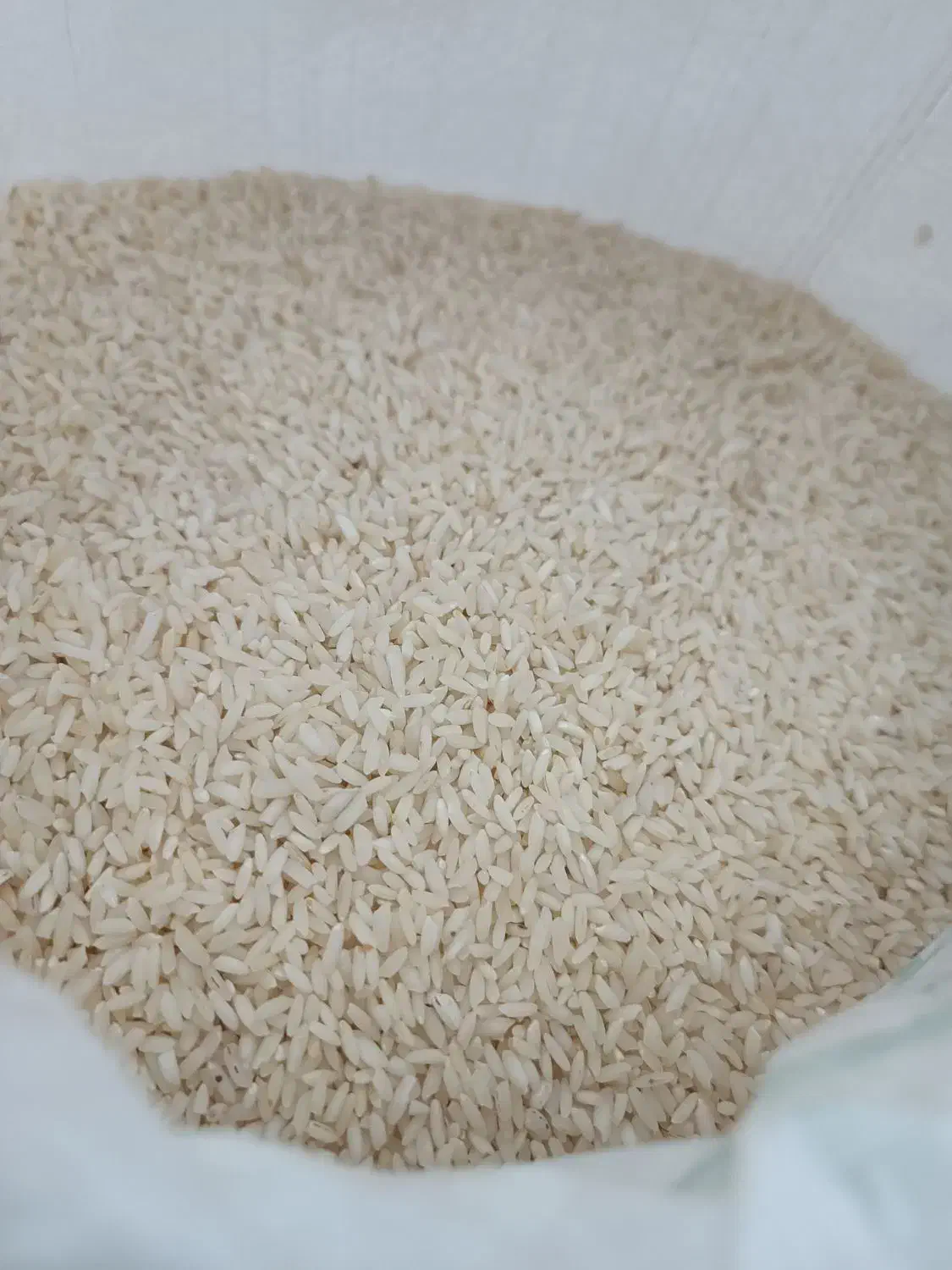 برنج عنبر بو|خوردنی و آشامیدنی|اهواز, شهرک دانشگاه|دیوار
