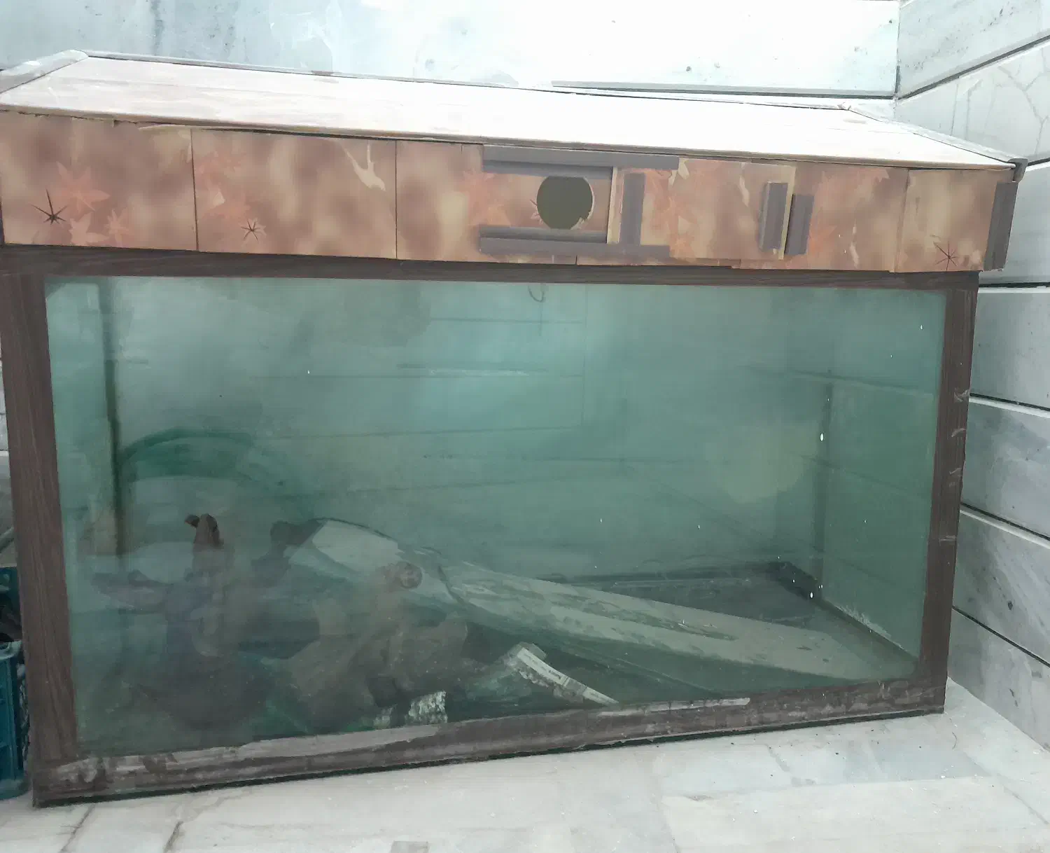 آکواریوم|ماهی|خمینیشهر, |دیوار