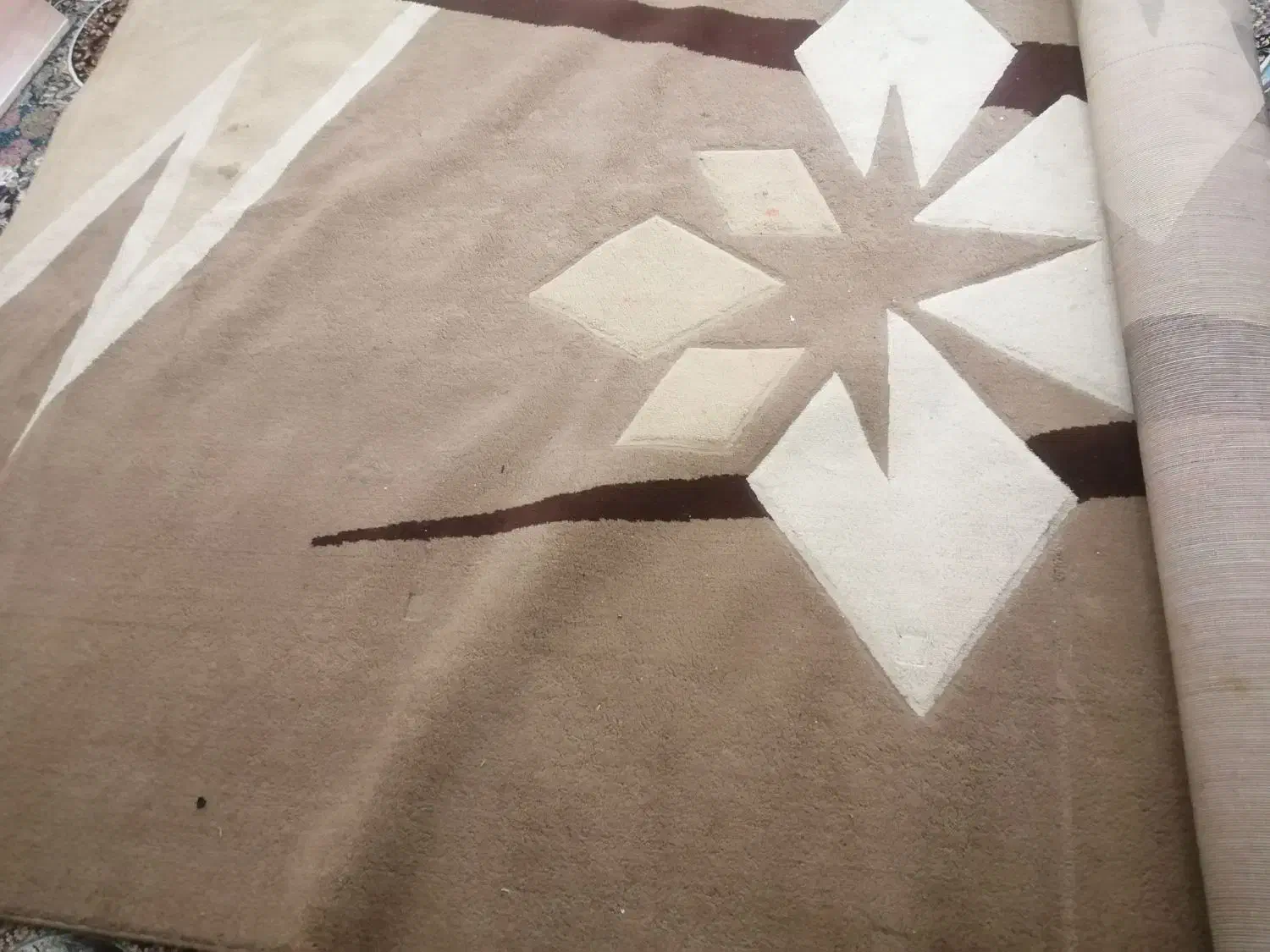 گلیم فرش 12 متری|فرش|کاکی, |دیوار