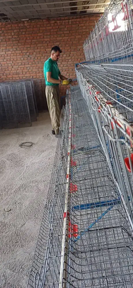 قفس مرغ تخمگذار در حد نو|لوازم جانبی حیوانات|محمدیه-قزوین, |دیوار