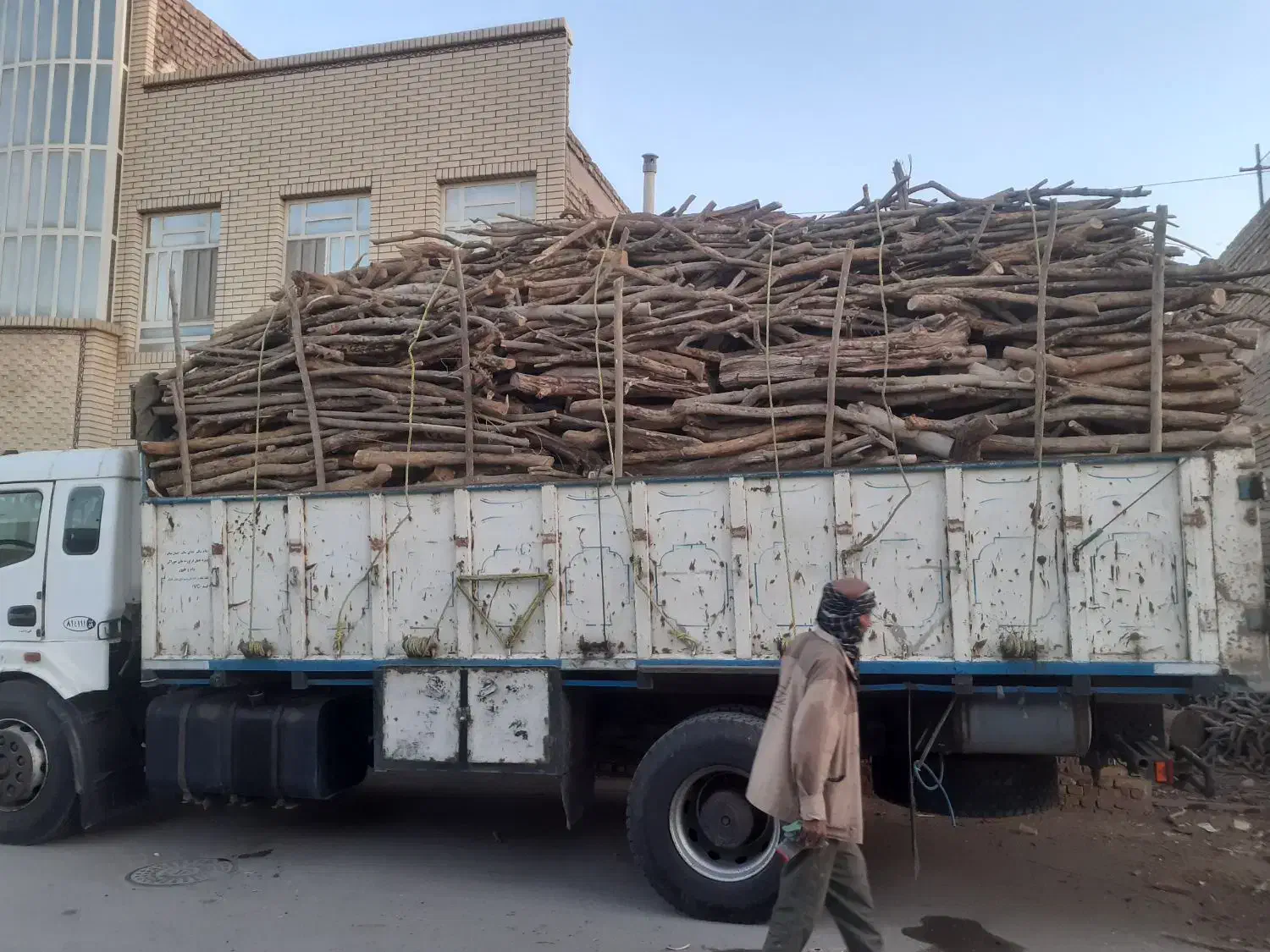 بریدن درخت با اره موتوری|خدمات باغبانی و درختکاری|اردکان, |دیوار