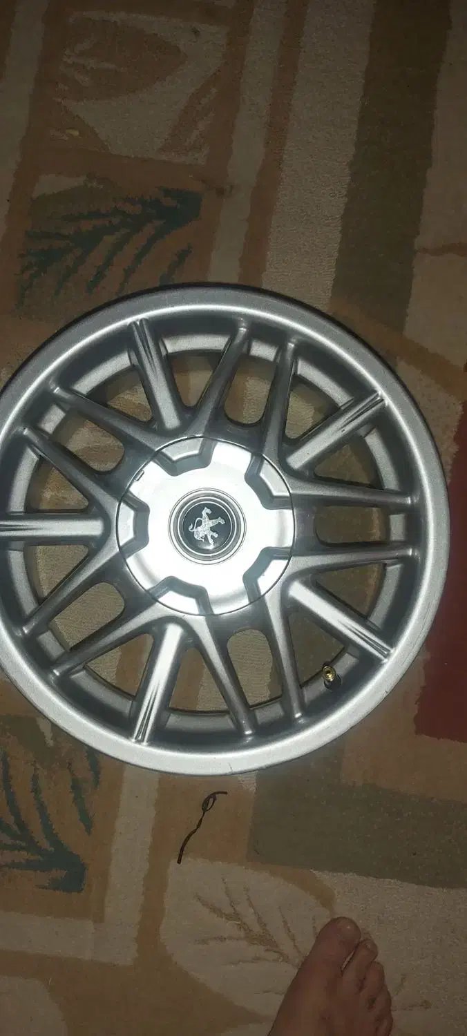 رینگ خرچنگی ایتالیا|قطعات یدکی و لوازم جانبی|فلاورجان, |دیوار