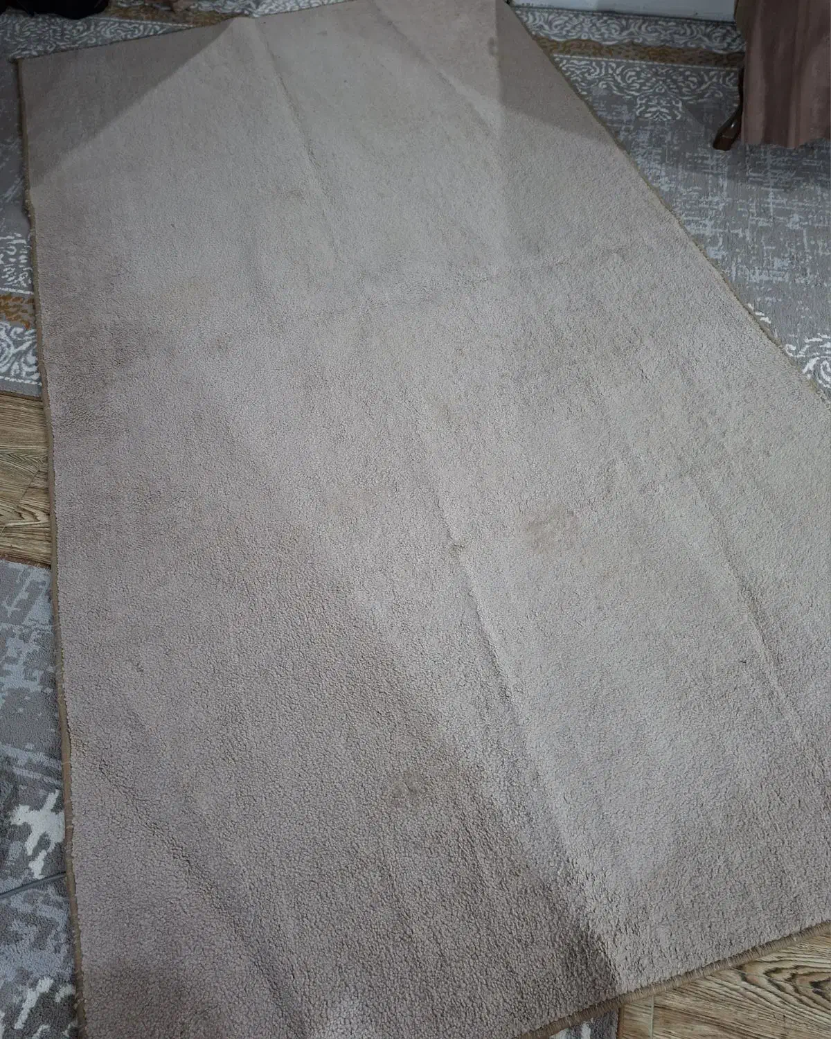 فرش فانتزی|فرش|مشهد, پورسینا|دیوار