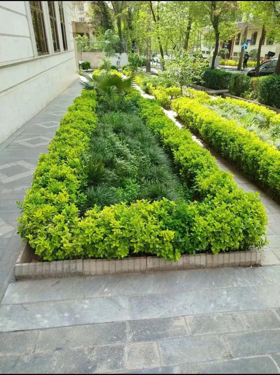 خدمات باغبانی وهرس کاری در سراسر کرج|خدمات باغبانی و درختکاری|کرج, عظیمیه|دیوار