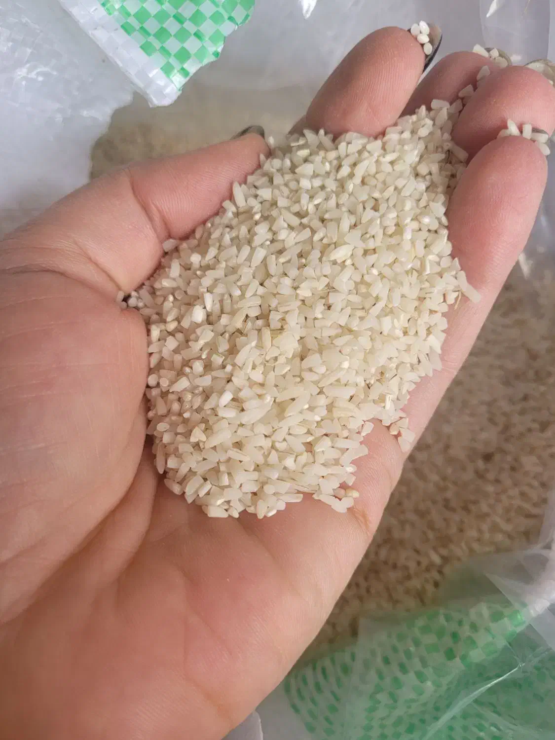 برنج هاشمی وبرنج نیم دانه سورتینگ  شده هاشمی|خوردنی و آشامیدنی|لاهیجان, کوی آزادگان|دیوار