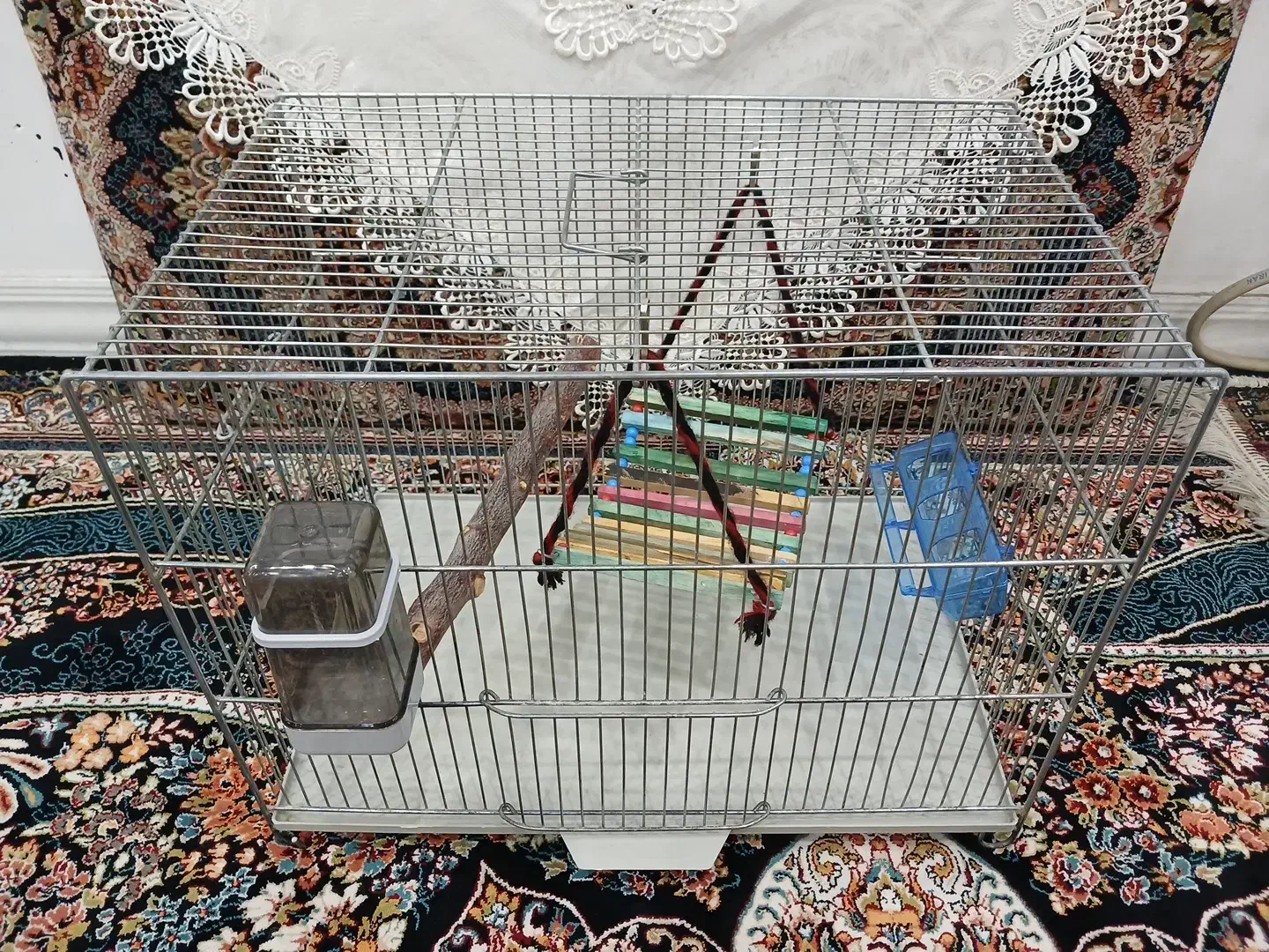 قفس پرنده|لوازم جانبی حیوانات|پاکدشت, پاکدشت (مامازند)|دیوار