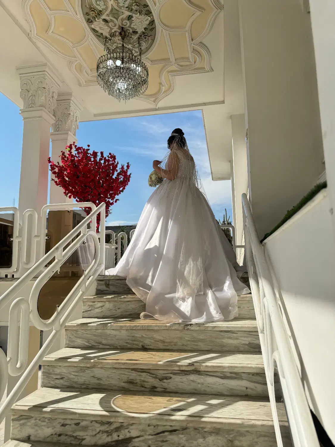 لباس عروس|لباس|آمل, |دیوار