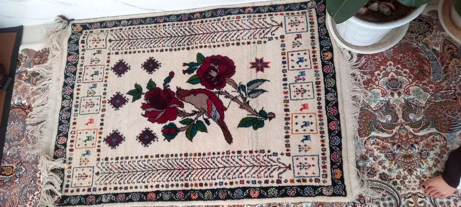 قالی دست بافت|فرش|ارژن, |دیوار