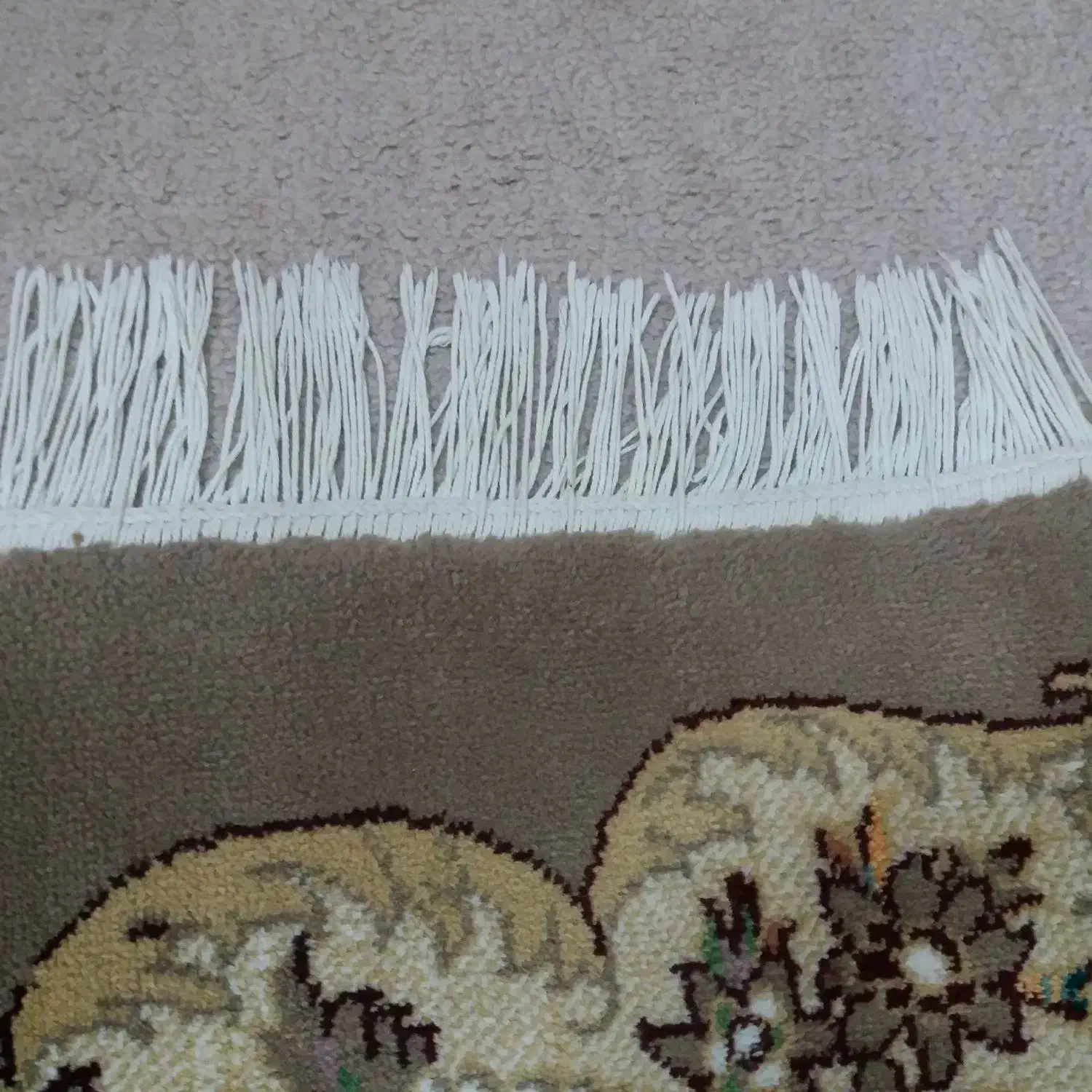 فرش ۱۲متری رنگ گردویی دونه ای ۴۵۰۰|فرش|گرگان, |دیوار