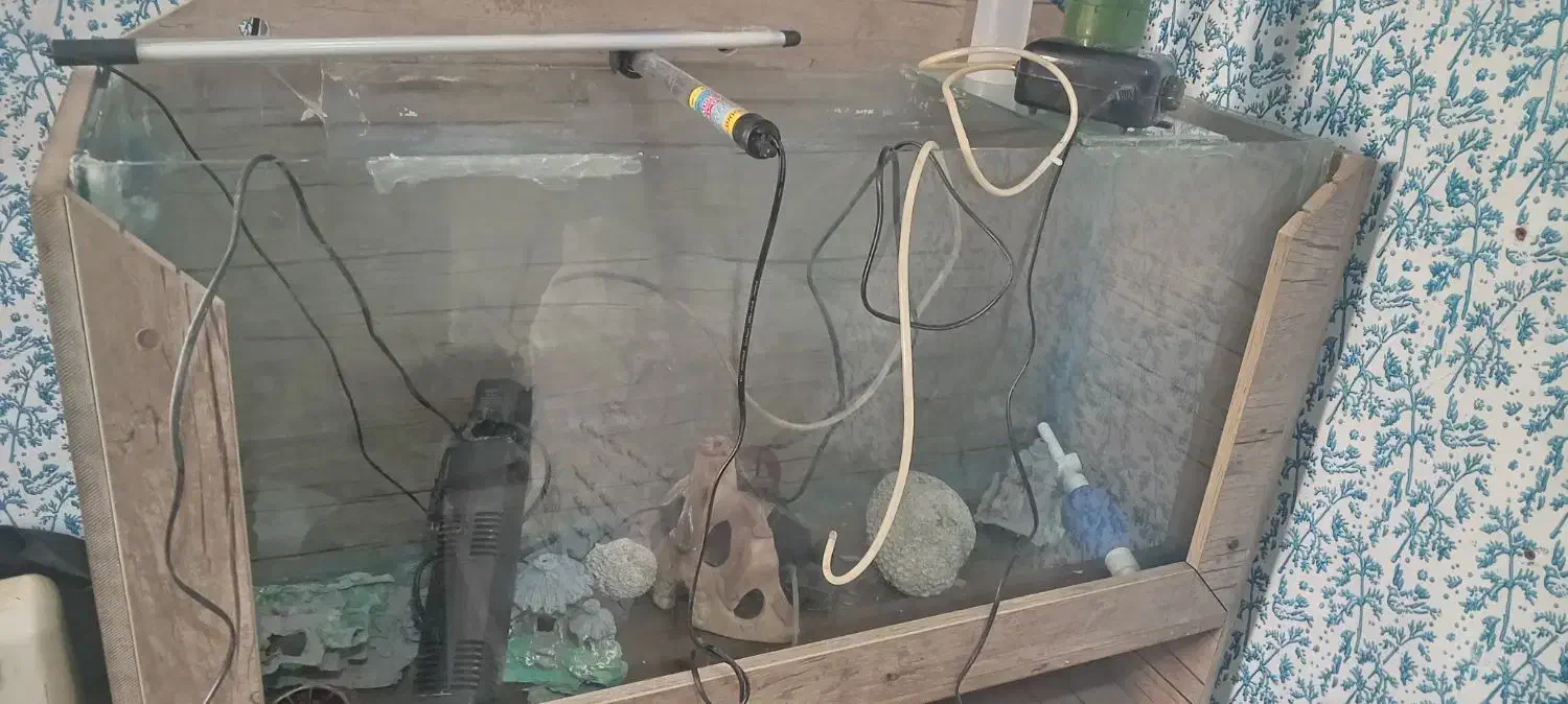 آکواریوم بزرگ باتمام. سایل|ماهی|باوی, |دیوار