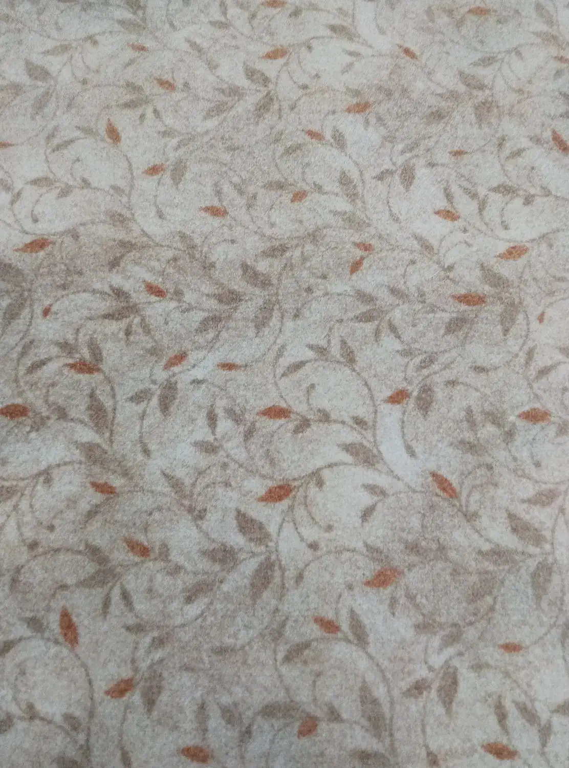 پالاز موکت|موکت|زمکان, |دیوار