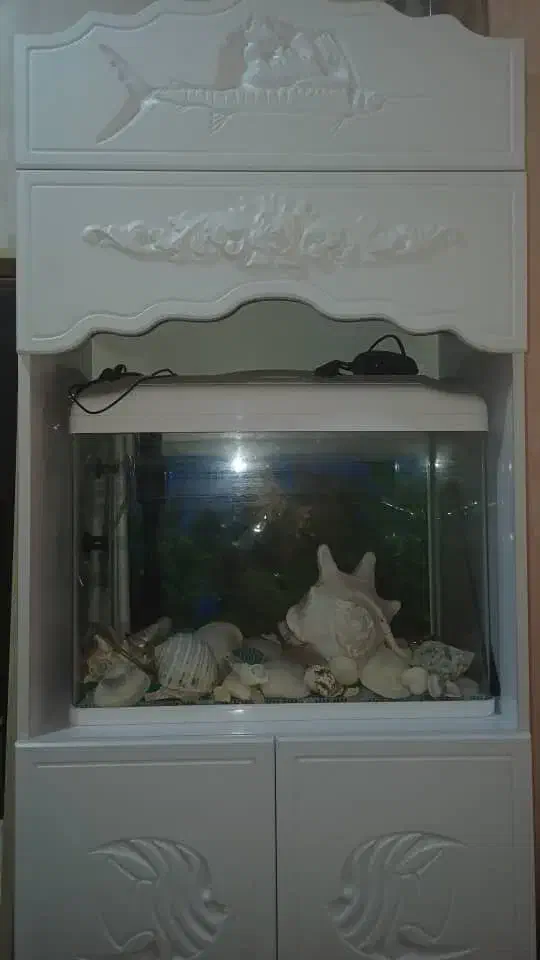 فروش فوری اکواریوم|ماهی|قشم, |دیوار