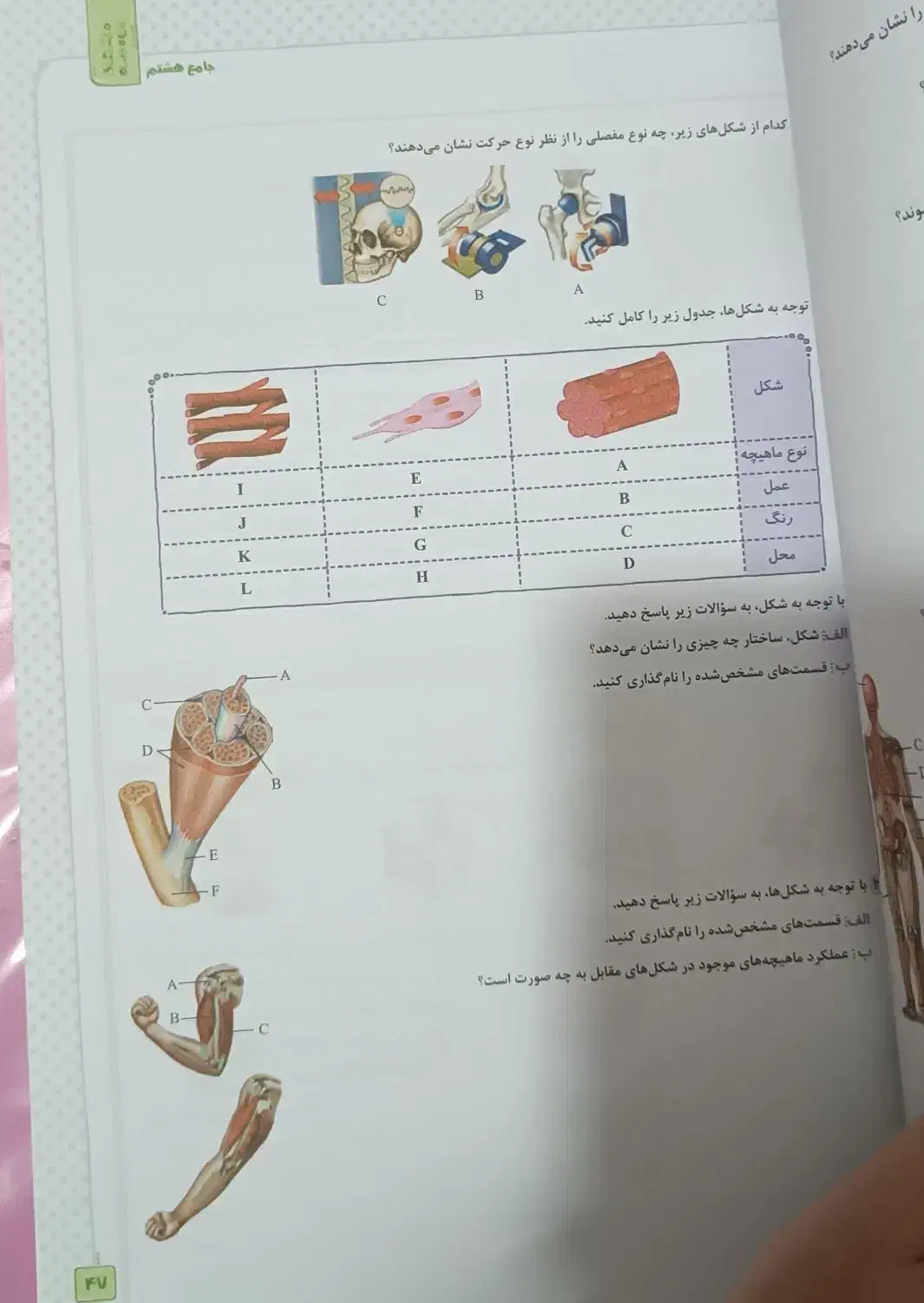 کتاب جامع ماجرای بیست خیلی سبز هشتم|کتاب و مجله آموزشی|اهواز, کیانشهر|دیوار